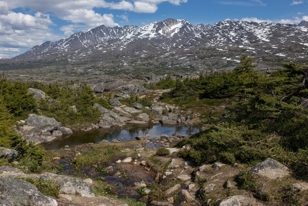 Mountains rise in the distance, still capped with snow. The pool here was part of a series of streams, rivers, and lakes formed on the way down the mountains into the northern tip of British Columbia and Yukon. The most spectacular view.
