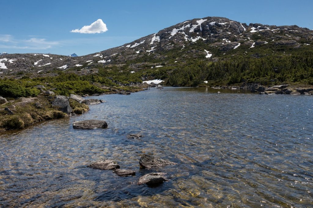 Snow melting led to these crystal clear pools of water just off the road. At 70+ degrees, this was the most beautiful, pristine scenery I've ever seen in my life. Scatter my ashes in this particular pool.