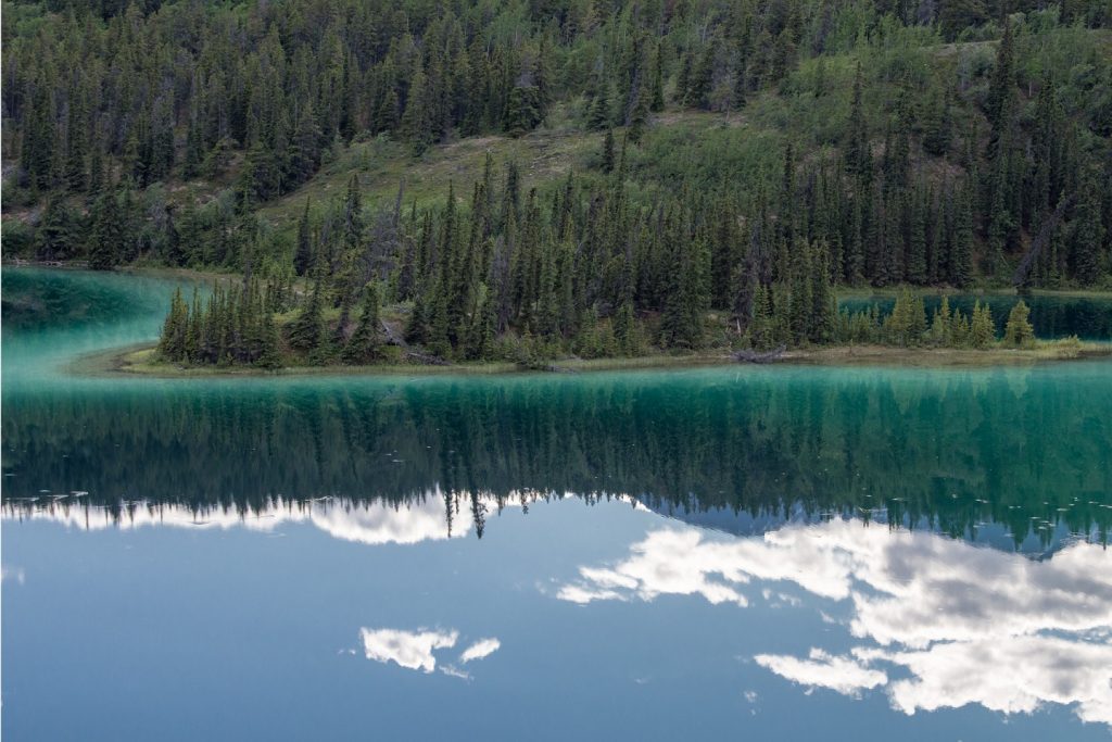 Sky reflected in forest water with brilliant greens and blues.