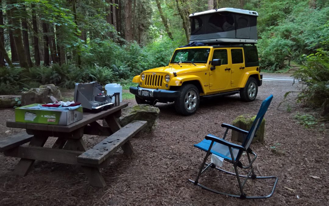 Del Norte Coast Redwoods, California
